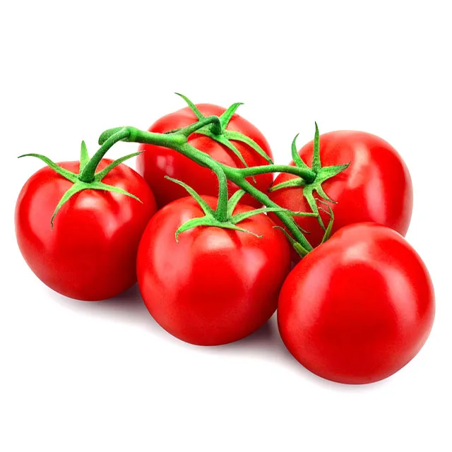 
Fast Delivery Good Fruit Setting Tomato Seeds Hybrid F1 Cherry Tomato F1 Seeds Canned Tomato Ketchup 