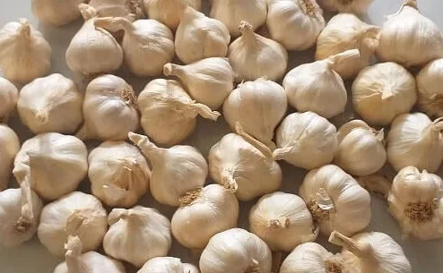 Vietnam Garlic 500 gram Black Garlic high quality 50 days fermentation technology from Japan