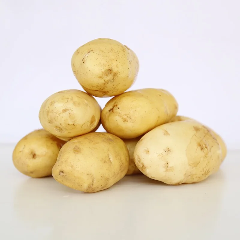 
New harvest 2021 fresh potato 