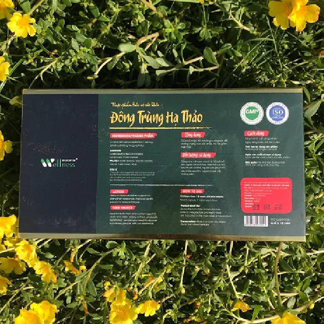 Wholesales prices Cordyceps extract products Health support Vietnamese products