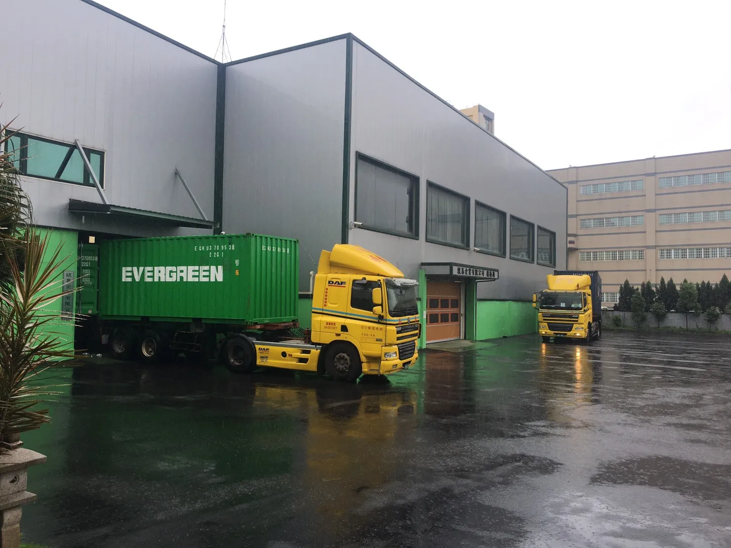 Пользовательские одноразовые чайные пакетики Earl Grey Black Tea оптом