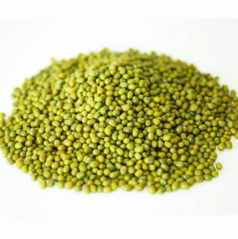 
Wholesale Premium Agroculture Organic Dried Mung Bean Sprouts Mung Green Beans 