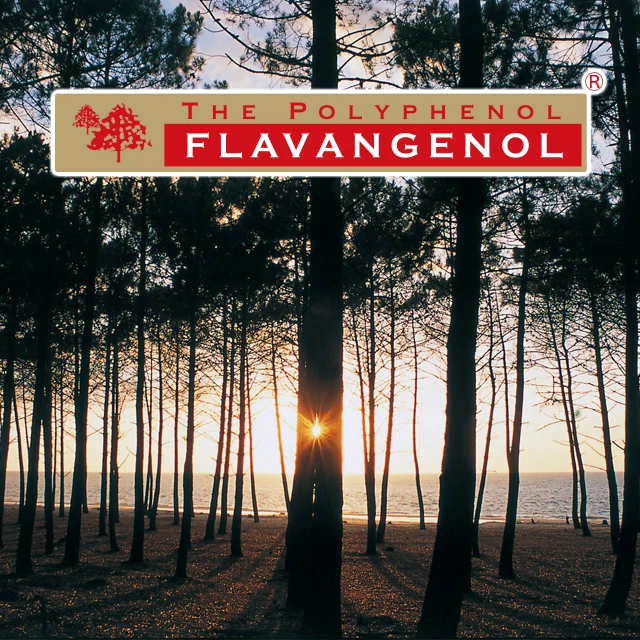 
Flavangenol raw material French maritime pine bark plant extract 