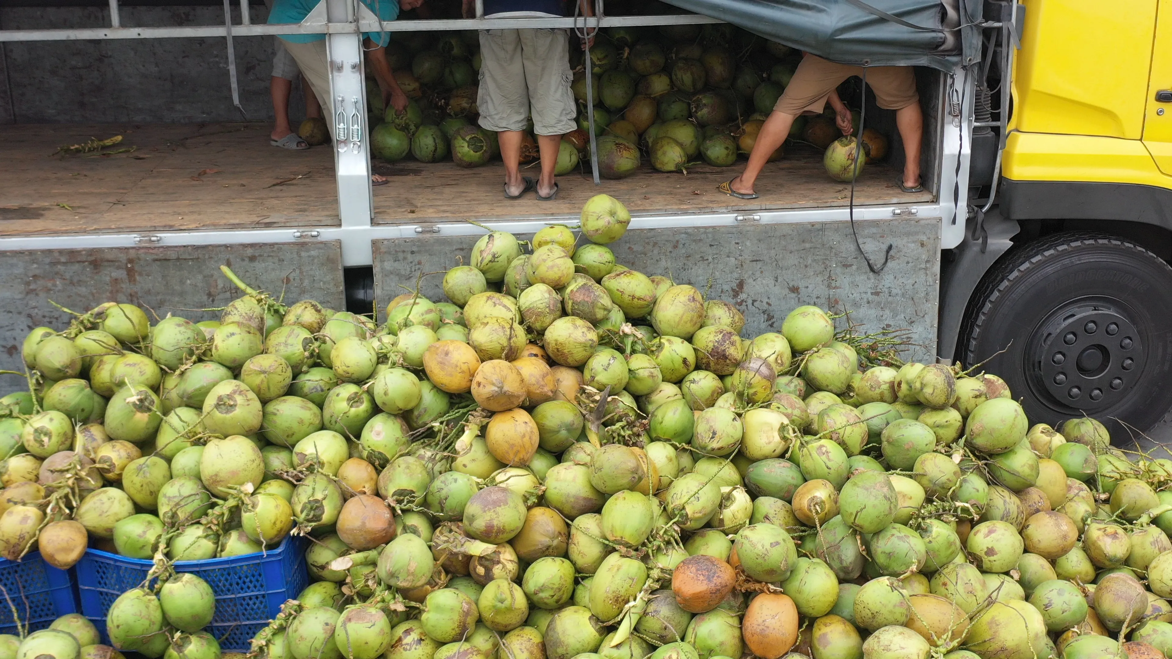 Винтажная стеклянная бутылка 280 мл кокосовое молоко с кофейным рисунком Бесплатная доставка этикетки чистый натуральный низкий уровень соли во Вьетнаме