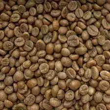 Сертифицированный Органический Тип культивирования, натуральный аромат, богатый аромат, робуста, кофейные зерна от Langbiang Vietnam