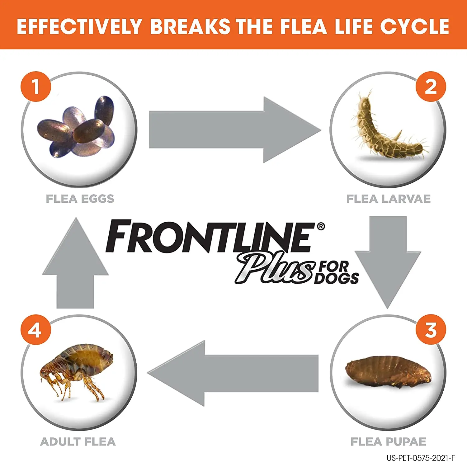 Frontline Plus Flea and Tick Treatment Dog Treatment Products
