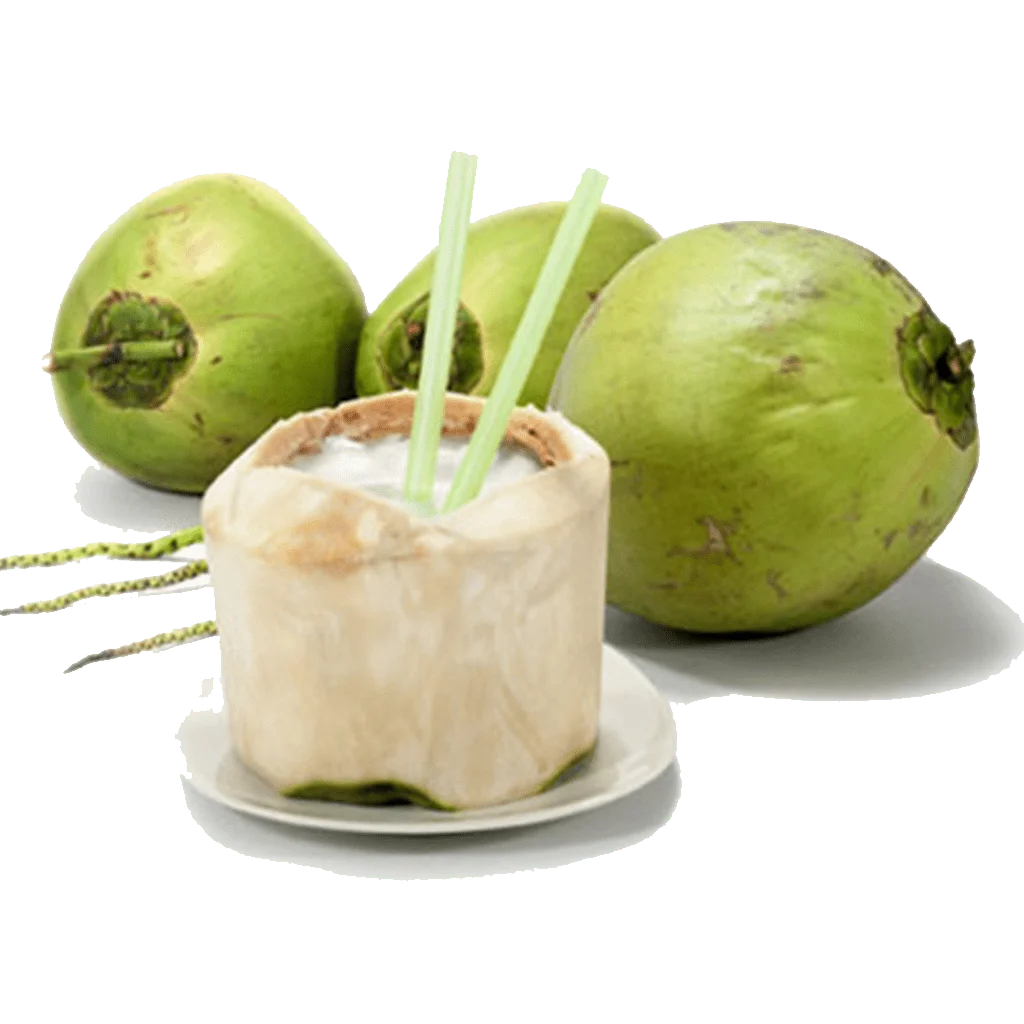 Fresh Coconut Diamond Cut Coconut No Husk Made In Vietnam High Quality 100% Natural Sweet Fresh