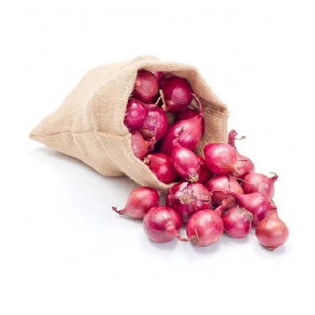 Small Shallot Onion - The Small Shallot onion  way of life.