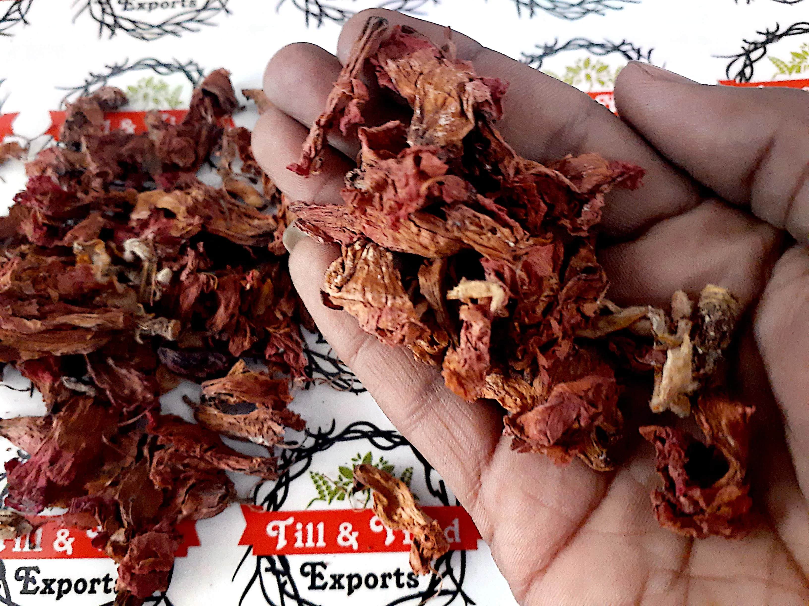 Factory Supply Dried Hibiscus Flower - Indian Origin Premium Quality Hibiscus Rosa sinensis