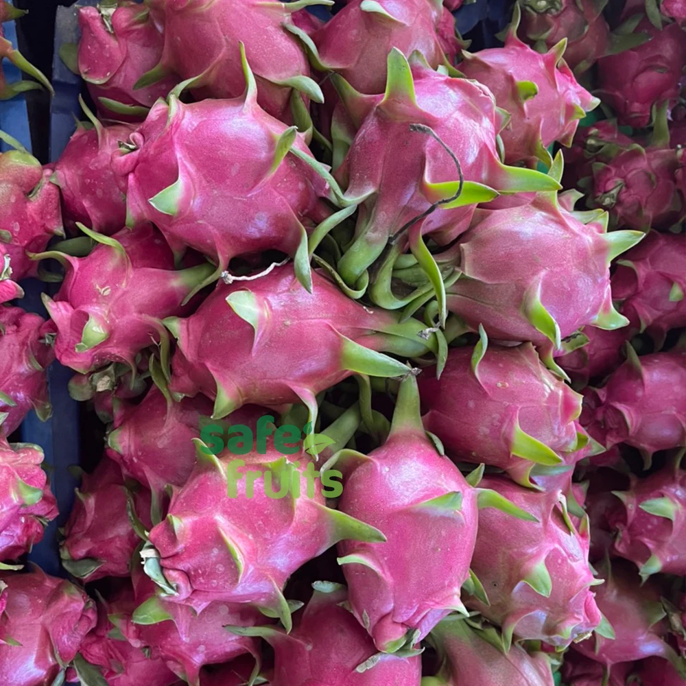 Best Product Wholesale  Fresh Dragon Fruit (Red/White) High Quality Dragon Fruit Specially Export to China Vietnam Dragon Fruit