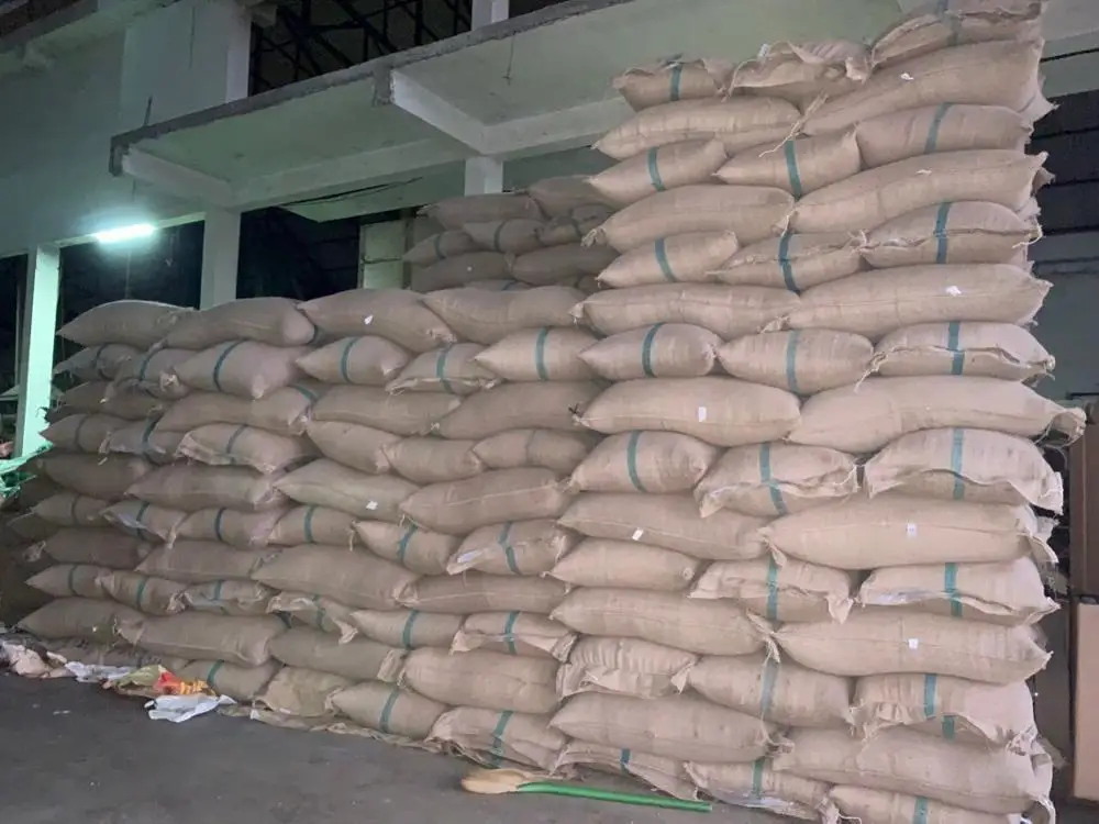  Вьетнамские высококачественные зеленые кофейные зерна ARABICA по хорошей цене SCR13/ SCR16/ SCR18 +