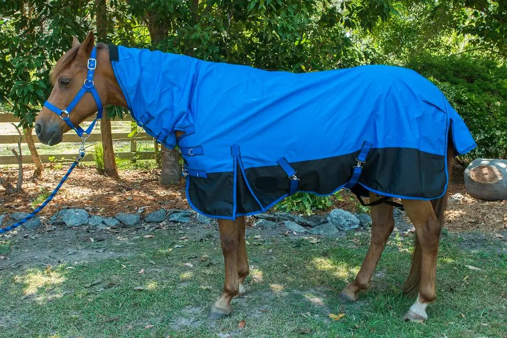 
Top Quality Horse Rug 200 g Winter Combo Royal Blue 