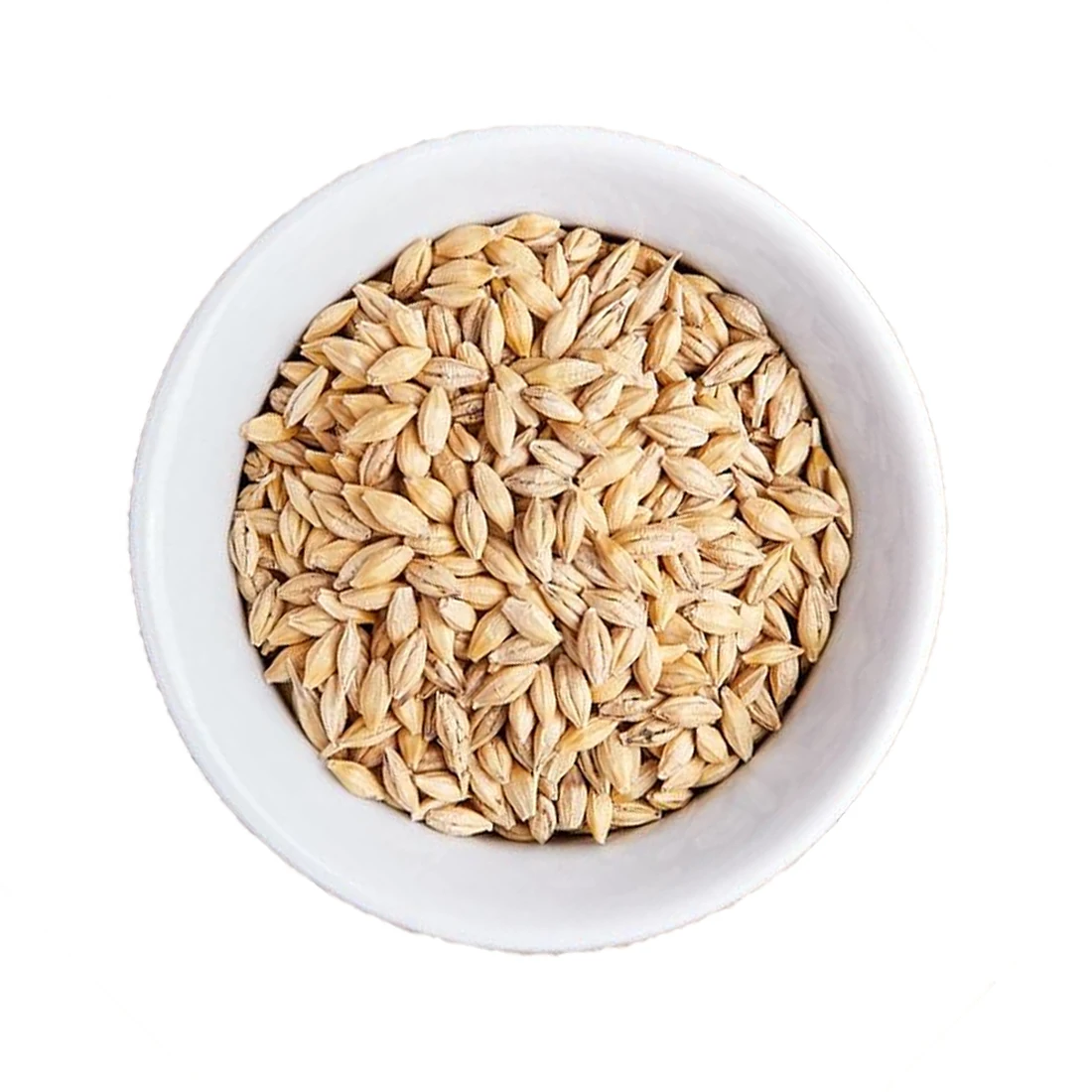 Barley grains healthy food animal feed for animals wholesale natural bulk non-GMO organic cereal grains