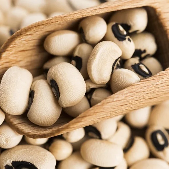 White Cowpea/Black Eye Bean (Vigna Beans)