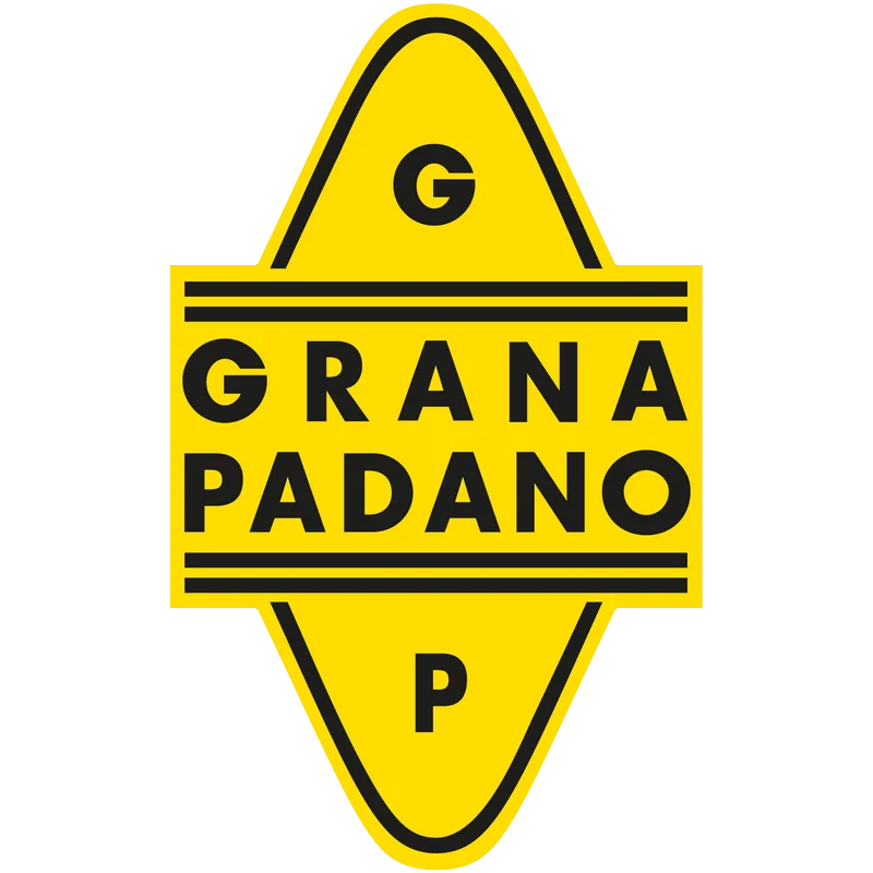 BEST QUALITY MADE IN ITALY CHEESE RESERVE 23 MONTHS HOT SALE