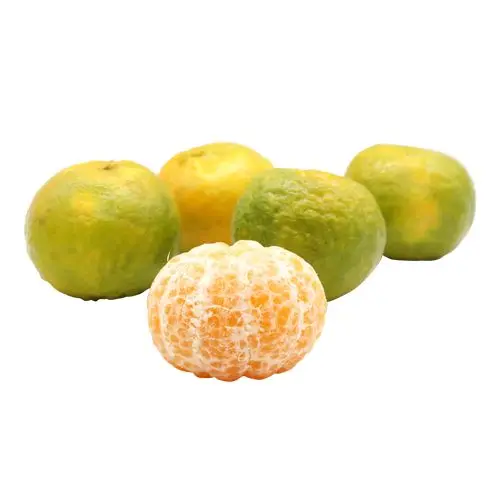 Buy mandarin fresh oranges best in world India