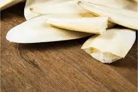 Лучшая цена костяная кость кальмара/100% чистая кальмара из Вьетнама-янтарный +