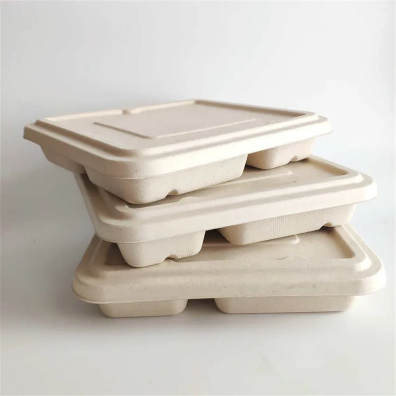 Biodegradable Disposable Sugarcane Bagasse Food Container 4 or 5 Compartment Take Away Lunch Box with Lid