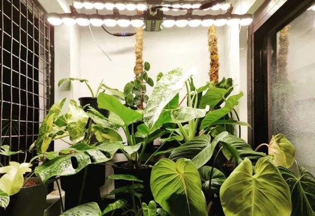 Smart Farming  50W to 200w  Full Spectrum Garden Grow Lamp For Hydroponics Plants