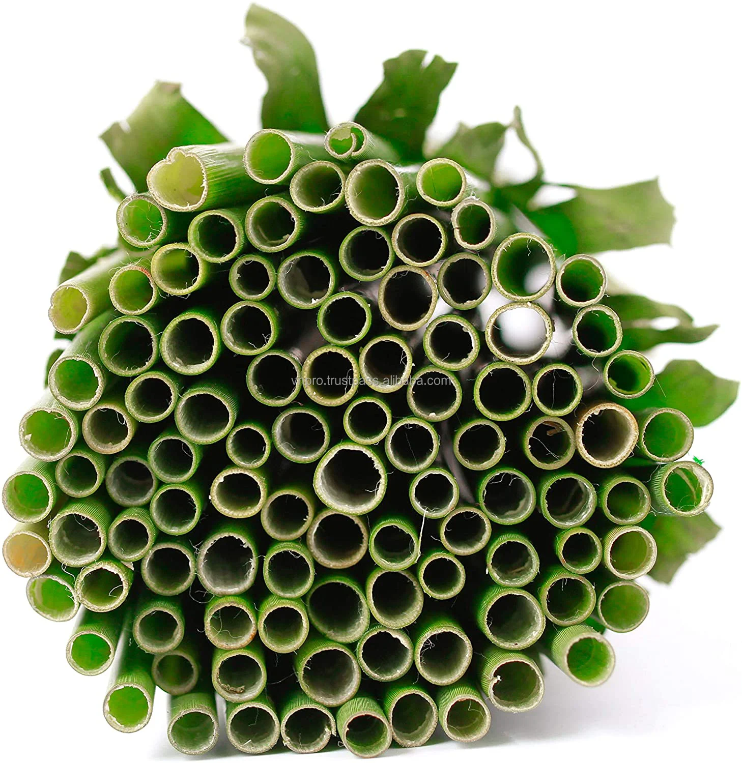 
Vietnam factory for disposable straw made by grass for Wholesale natural straws / eco-friendly straws/ grass straws 