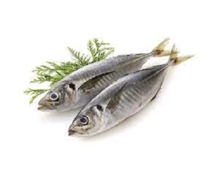 TOP SELLER FROZEN HORSE MACKEREL FROZEN SEAFOOD IQF Frozen Fish Food (Thai Lien Company, Ms Phuong: +84789196389)