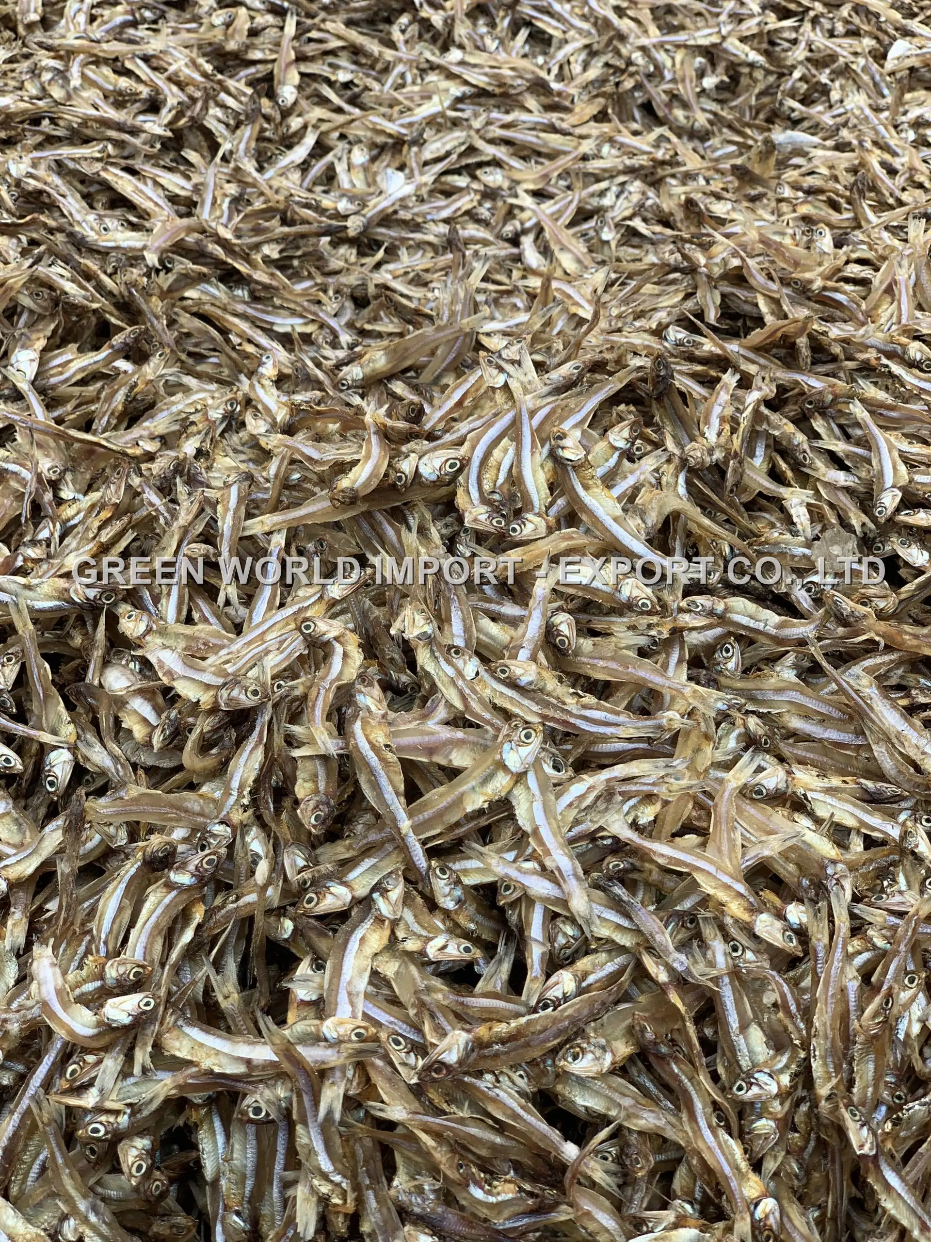 BEST PRICE 2022 - SUN DRIED ANCHOVIES FROM VIETNAM SUPPLIER - DRY ANCHOVY WITH HIGH QUALITY FOR FOOD