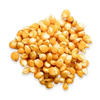 
High Quality Healthy Food Corn Flake Cereal Russian Origin 