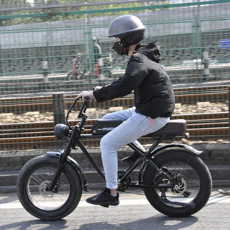 High Quality Custom 500W Motor Dirt Tire Style Off Road Ebike Vintage Beach Electric Bike