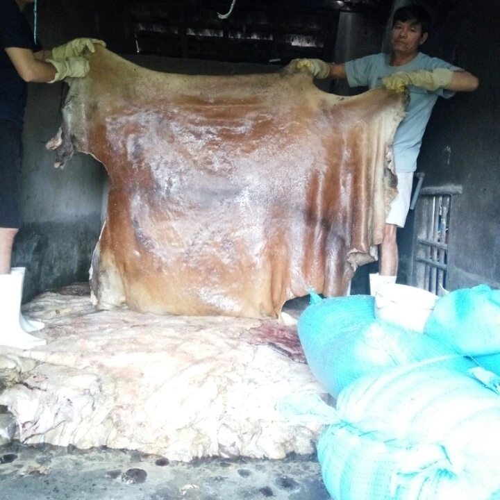 
Wet salted cowhide - buffalo skin sale 2021 