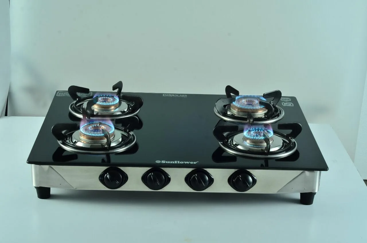 Home Kitchen High Quality Cooking Appliance Commercial Cooktop 2 Burner Gas Cooker Stove Price Top Stainless Steel Bag Gift Body