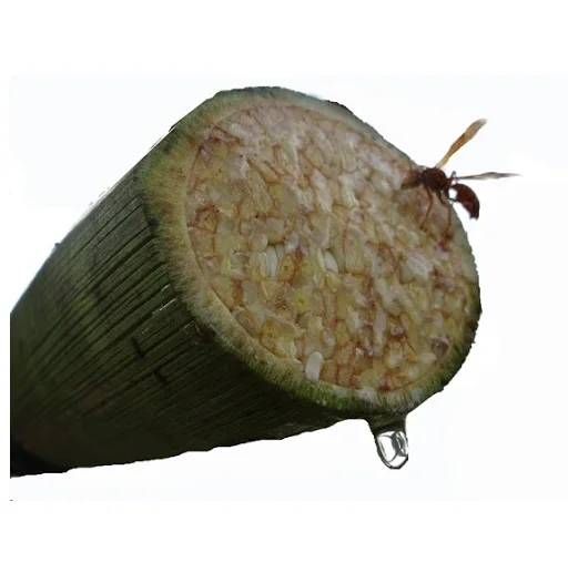  Высококачественный сироп с кокосовым нектаром сахаром обеспечивающий энергию из Вьетнама по хорошей цене