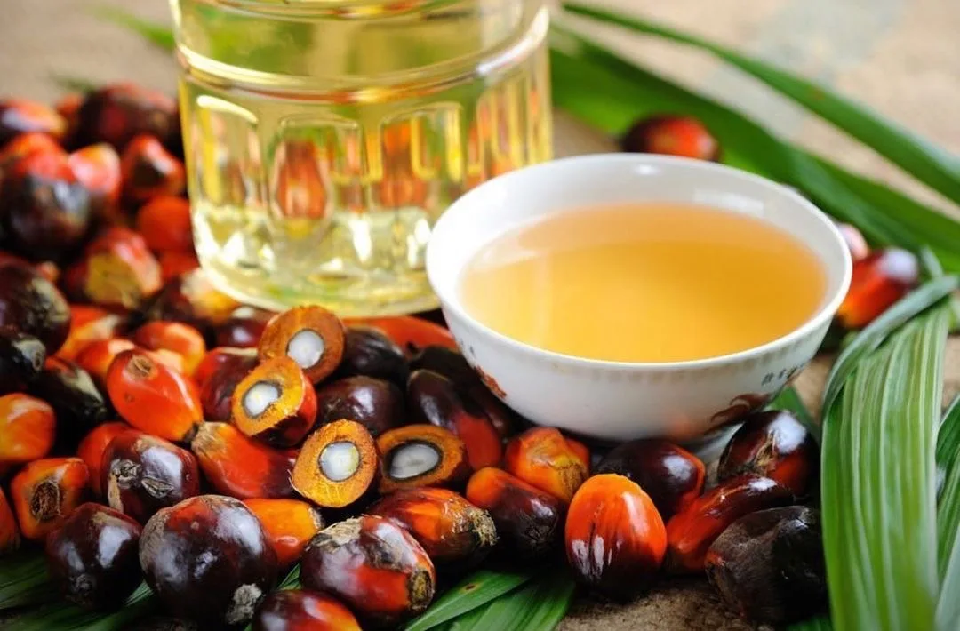 Пальмовое масло для