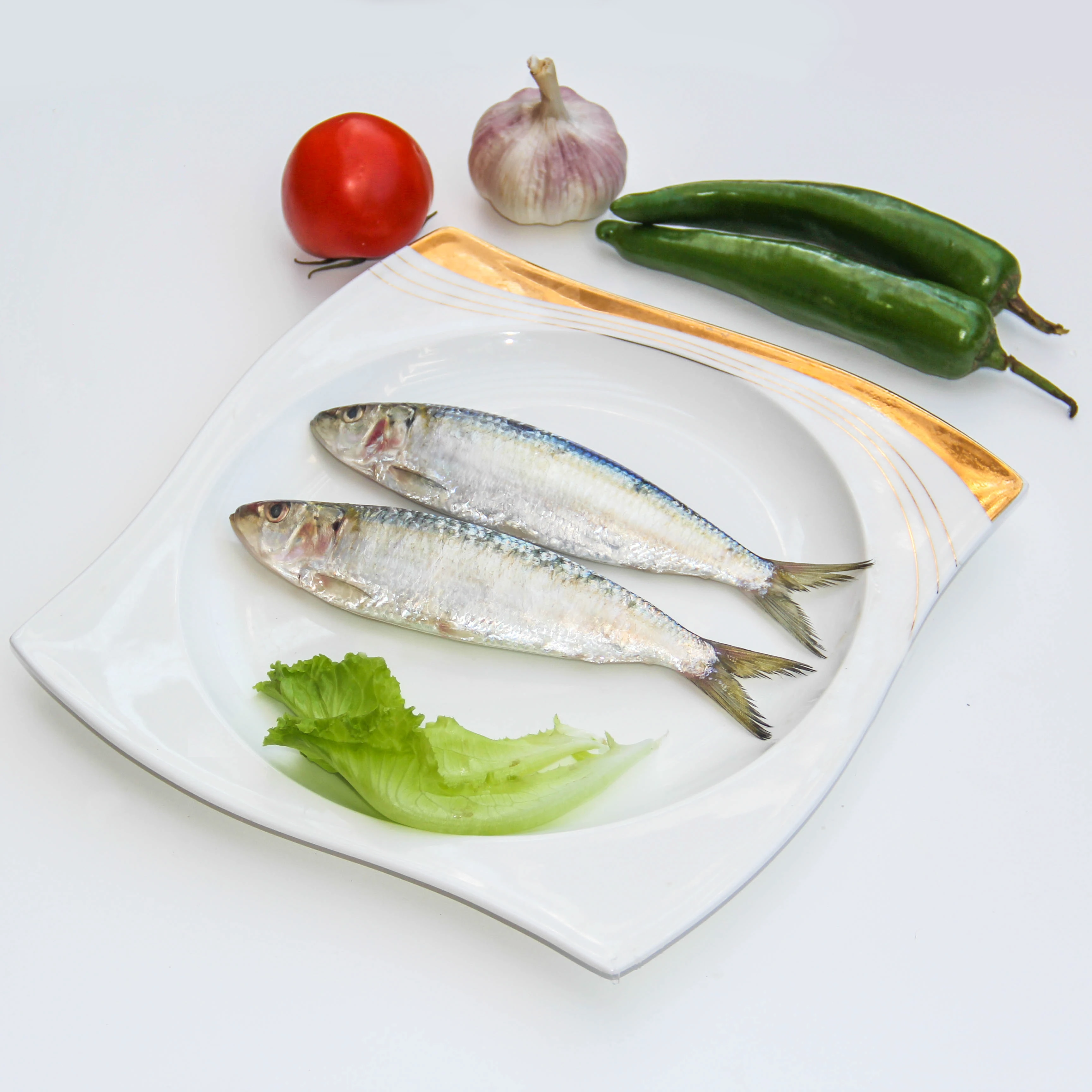 
Good Price Frozen Sardine Whole Round for Sale 