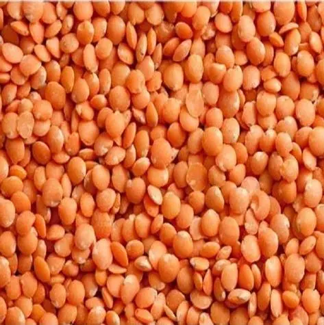 Wholesale Best Quality Whole And Split Red Lentils For Sale In Cheap Price