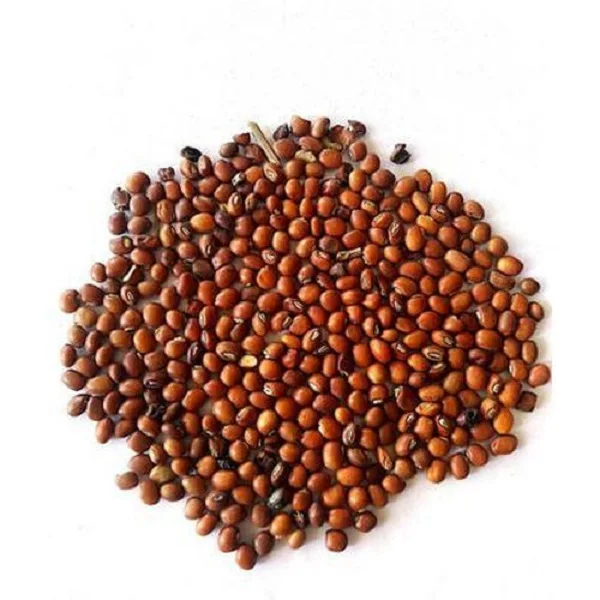 
100% Natural Organic Toor dal Seed for export 