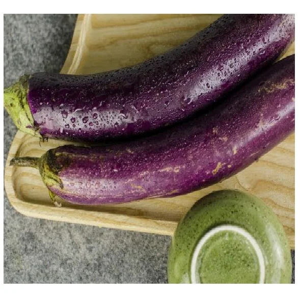 
FRESH PURPLE EGGPLANT VIETNAM FOR MAKING POWDER [Edna +84 919 04 5050] 