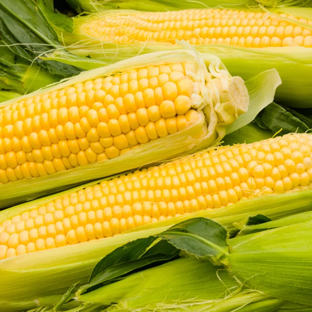 Sweet Corn