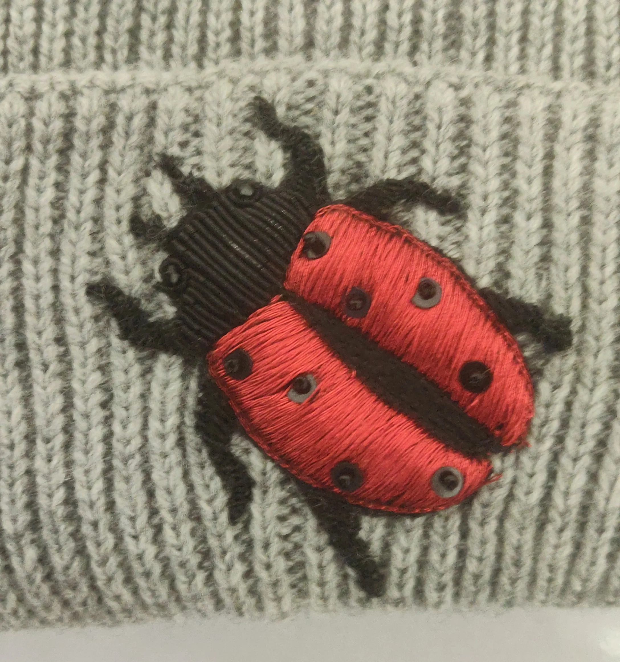 BEANIE_CAP_-_BEETLE_3.jpg