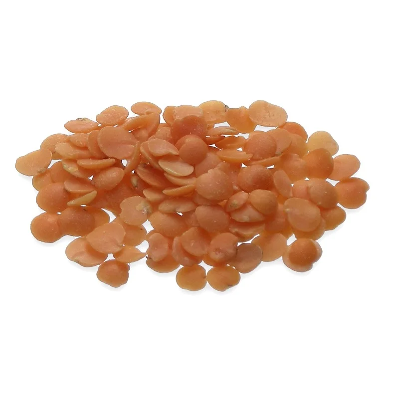 
Manufacturer Dried Red Split Lentils from Canada with 16.5% Max Moisture (WhatsApp: +6581317198) 