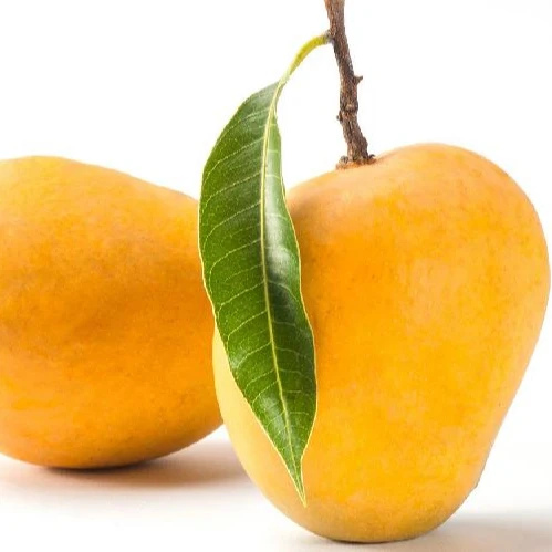 Special Premium Quality Kesar Mangos