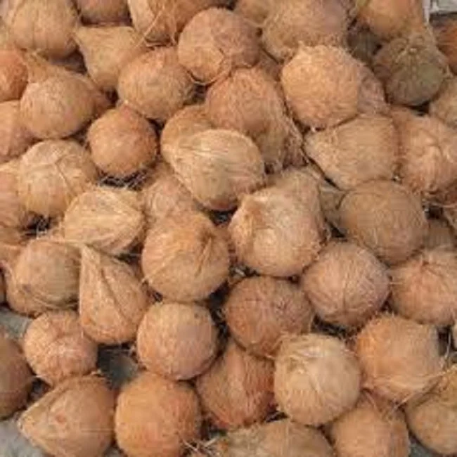 
Fully husked coconut 