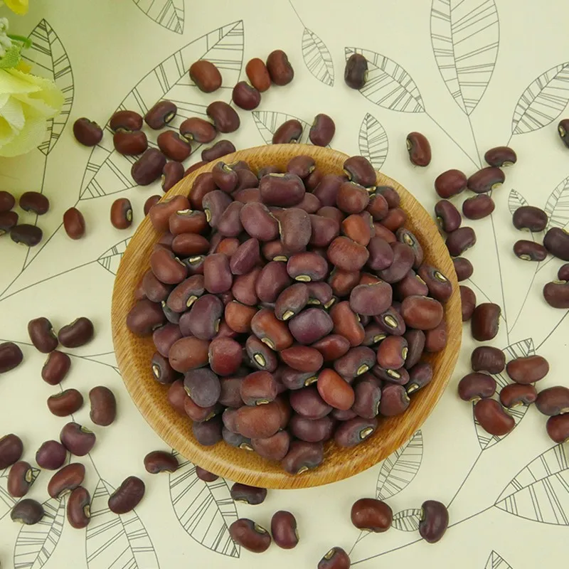 FRESH GREEN MUNG BEANS / COWPEA VIGNA