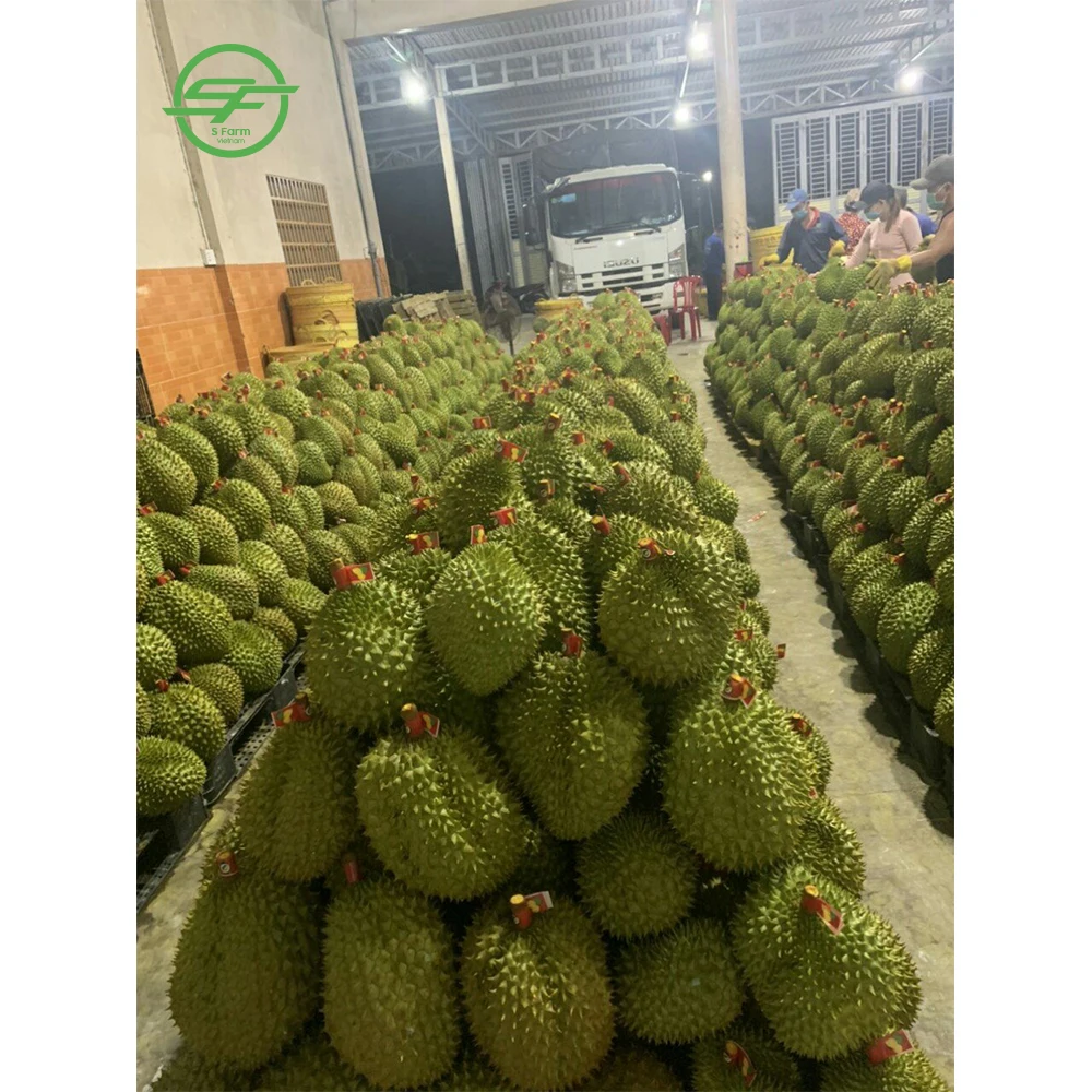Хит продаж: вкусный дуриан вьетнамский Премиум (Whatsapp/zalo/wechat: + 84 912 964 858)