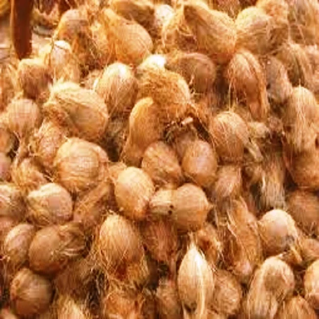 
semi husked coconut 