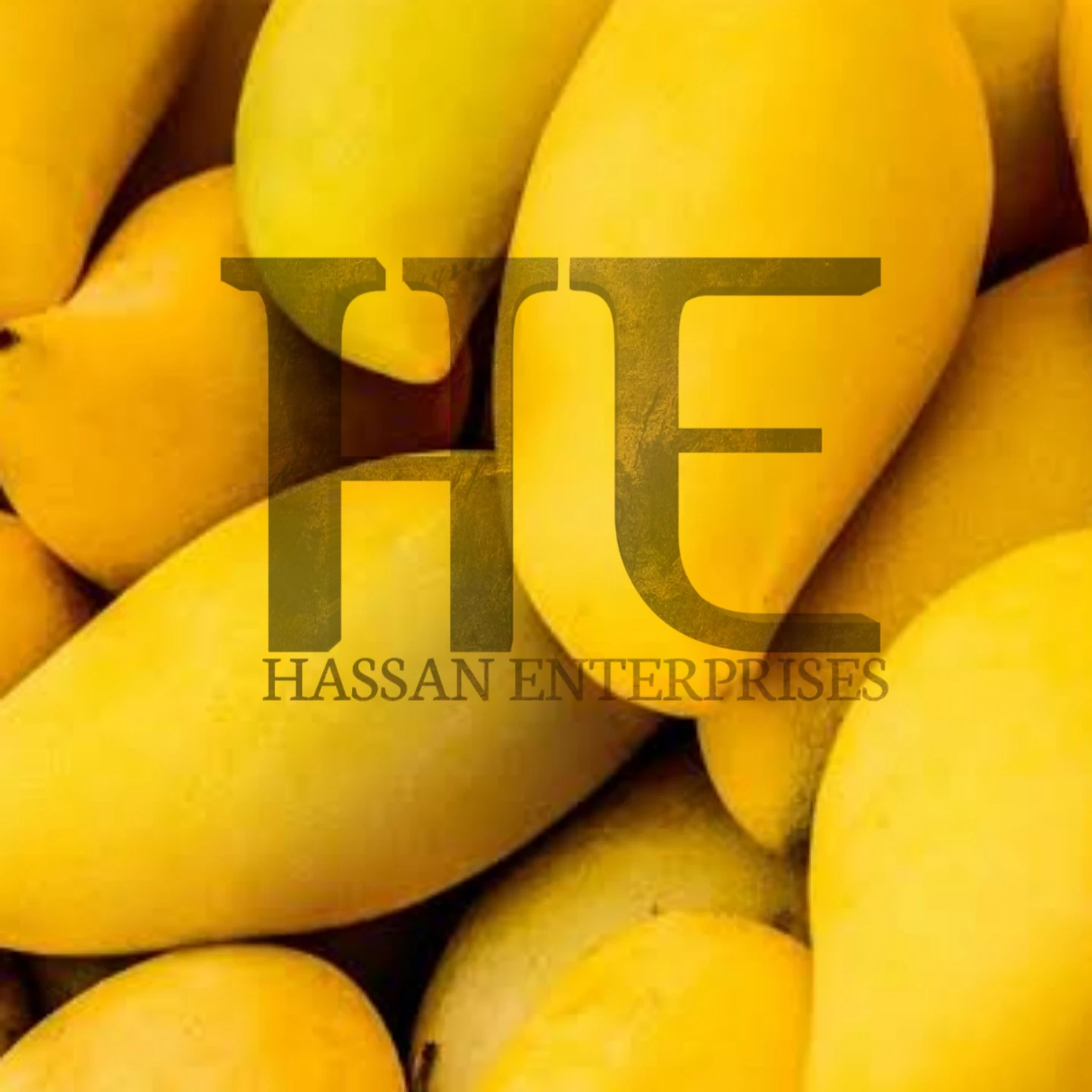 Mango Sindhri Chaunsa Produced In Pakistan Export Quality