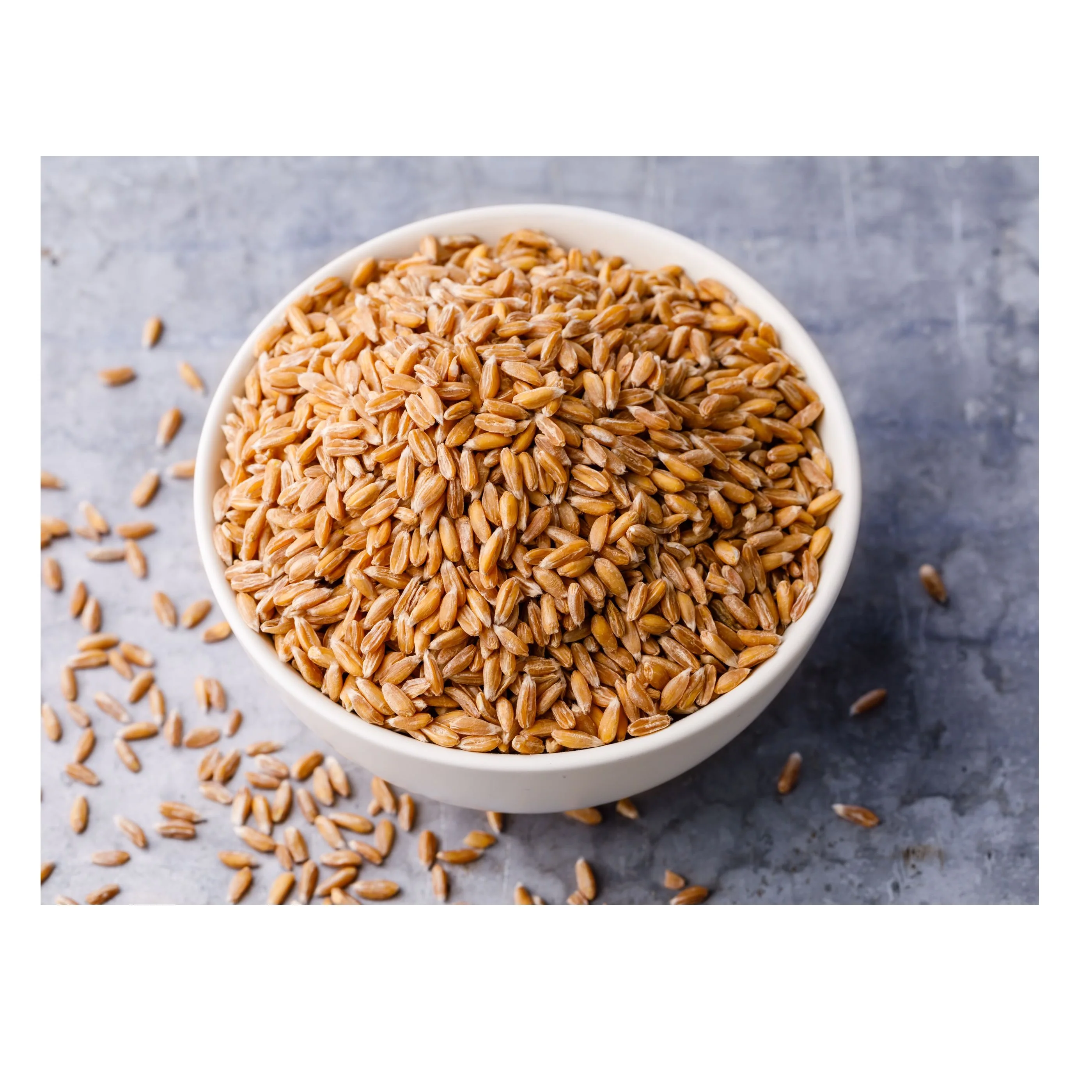 High quality Wheat grain: 100% Nutrition & Organic Quality organic wheat grain, cheap and affordable, ready for shipping.