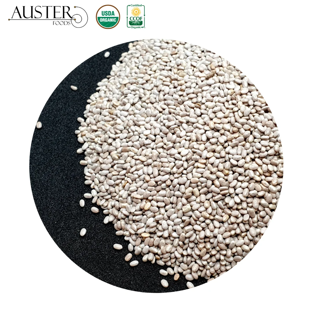 White Chia Seeds Chia Seeds - Salvia Hispanica L. - Natural - Stock in The USA. Pallet Orders