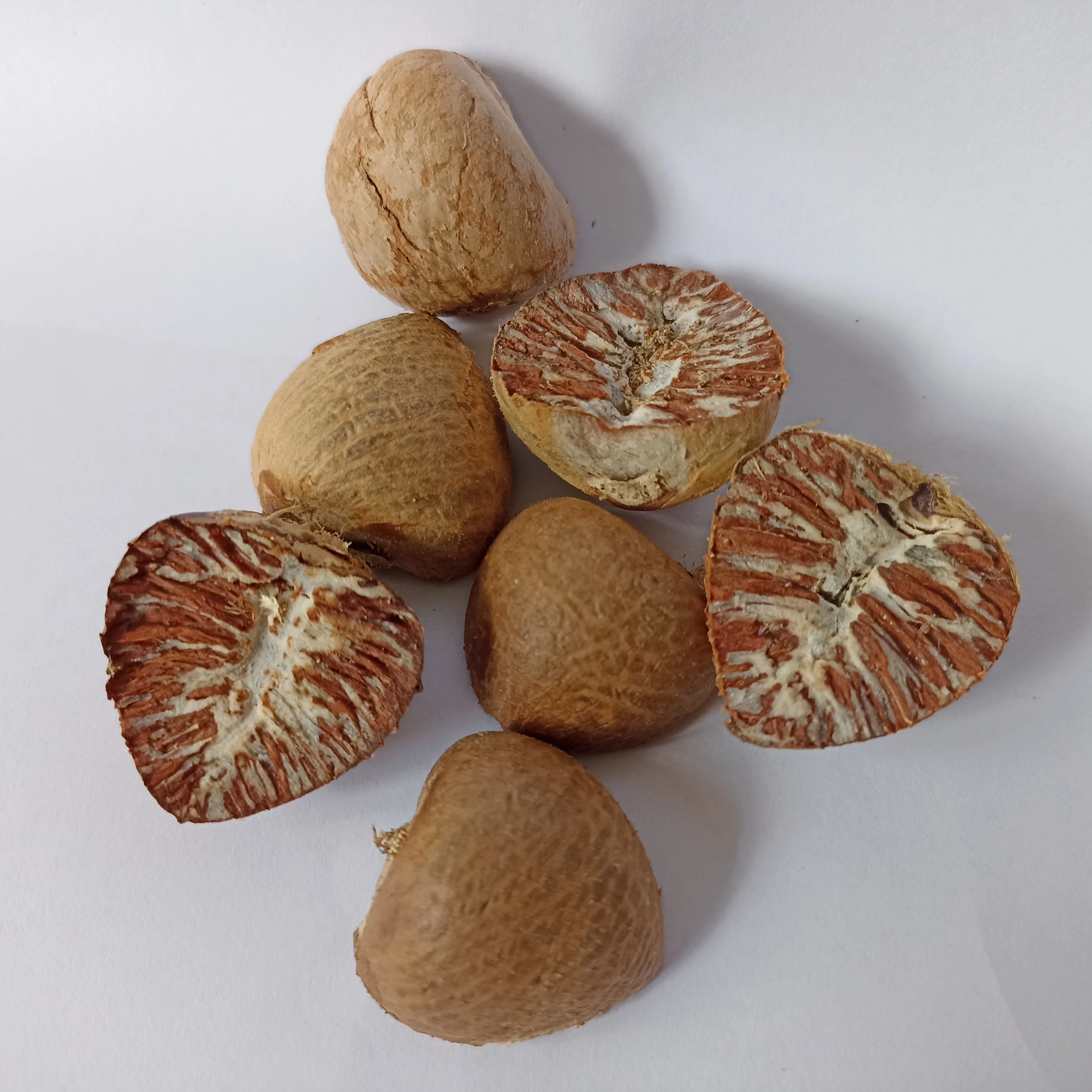 Supari Areca Betel Nut Brown