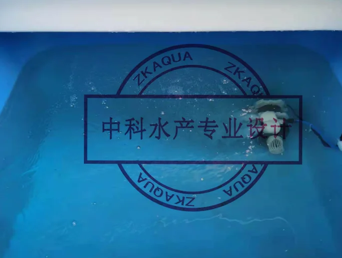 600L Live Fish Transportation tank Plastic Container