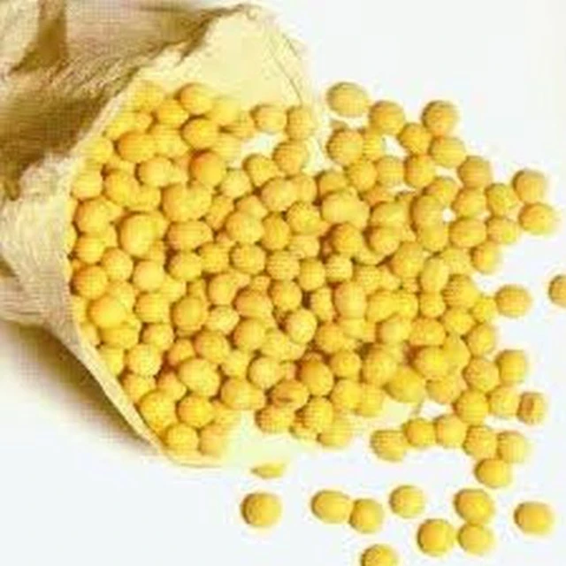 yellow soybean  2.jpeg